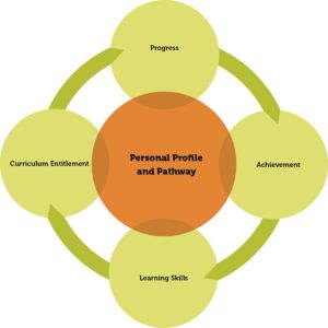Figure 1: Personal profile and pathway