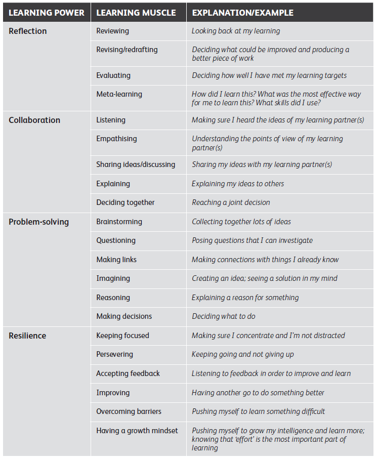 Learning power learning muscle