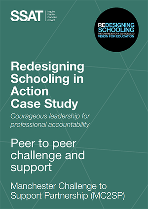 Courageous leadership for professional accountability: Peer to peer challenge and support